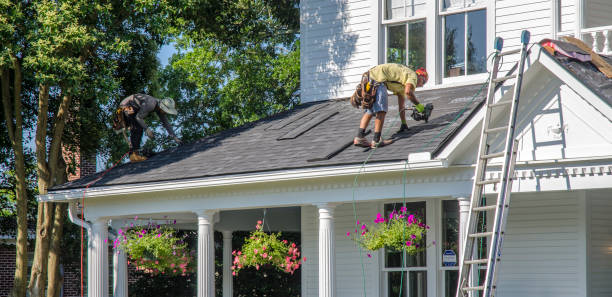 Best Roof Maintenance and Cleaning  in Valley Springs, CA